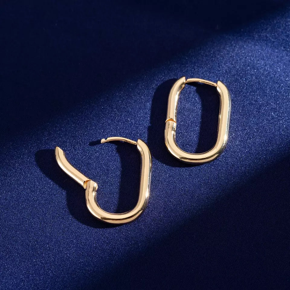 18K Gold Plated Earring