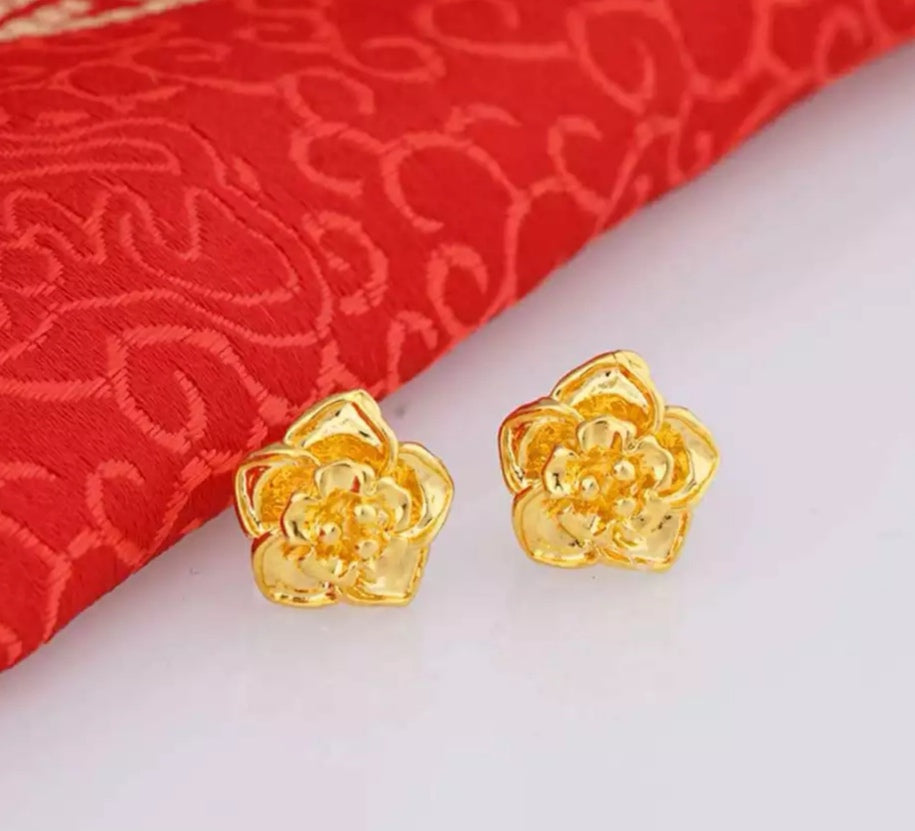 18K Gold Plated Earring