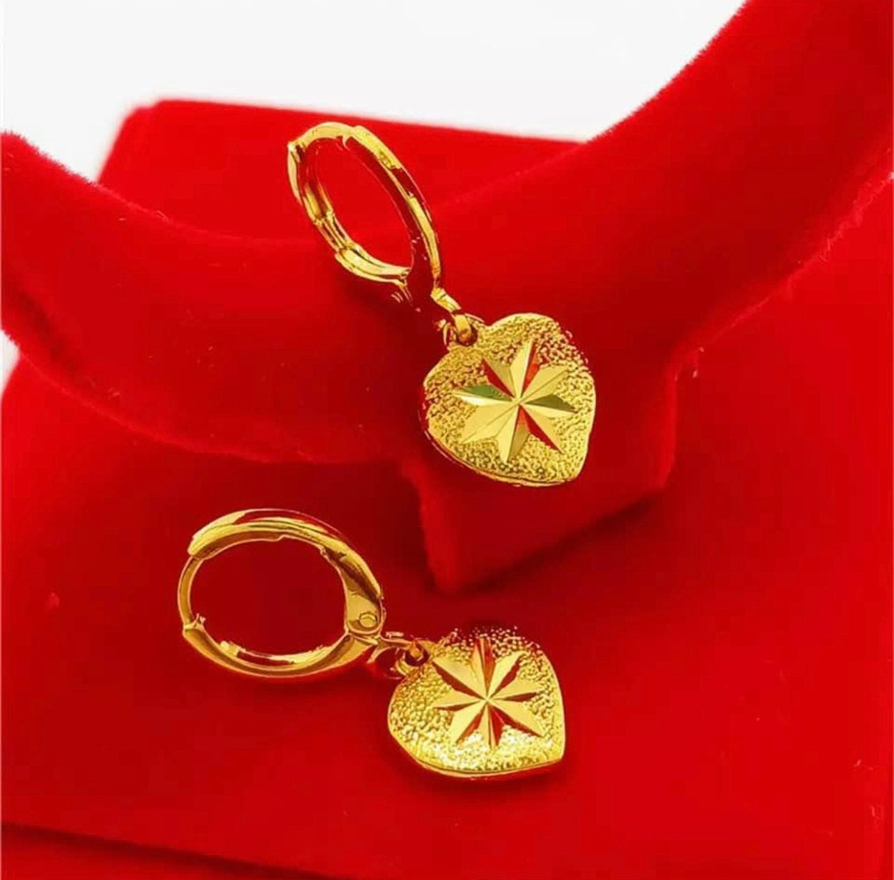 18K Gold Plated Earring