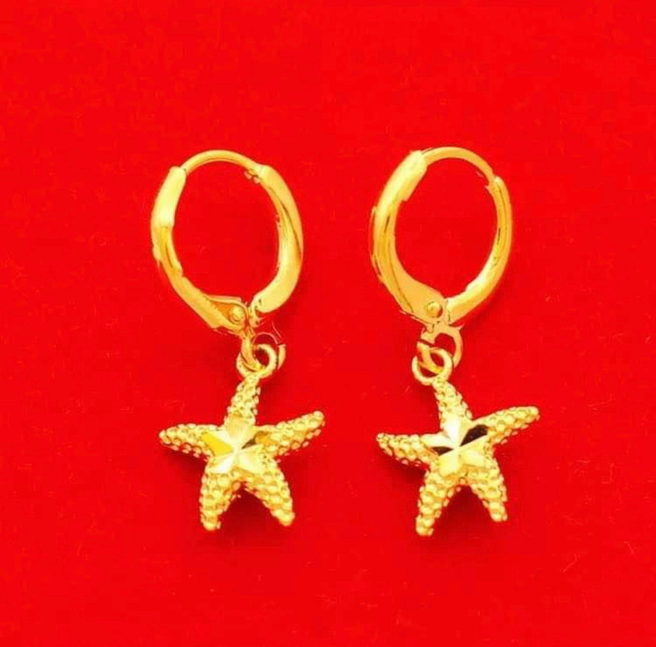 18K Gold Plated Earring