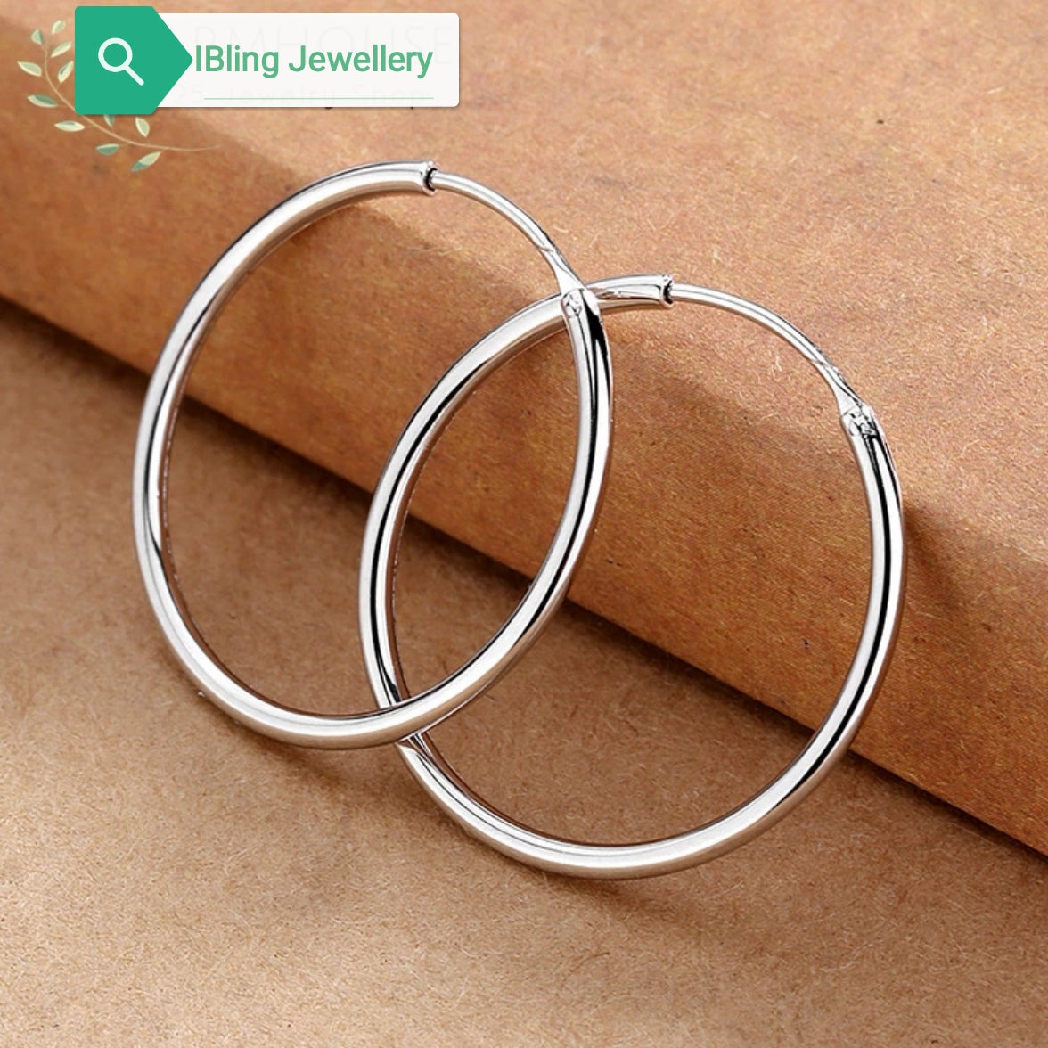 925 Silver Circle Earring